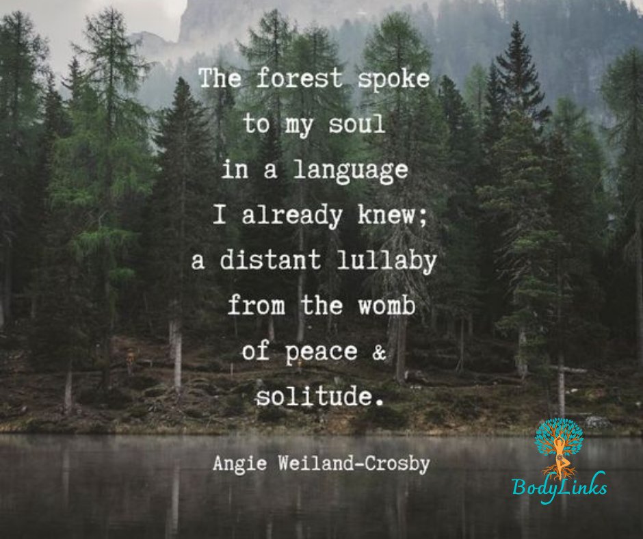 debilinks's tweet photo. #inspiration
"The forest spoke to my soul in a language I already knew; a distant lullaby from the womb of peace &amp; solitude." - Angie Weiland-Crosby

https://t.co/hLeqZvPXoP
#debirudden #bodylinks #holistichealth #selfcare #healing #wellness #sunningdale #somersetwest #nature https://t.co/HxYTA9a3eN