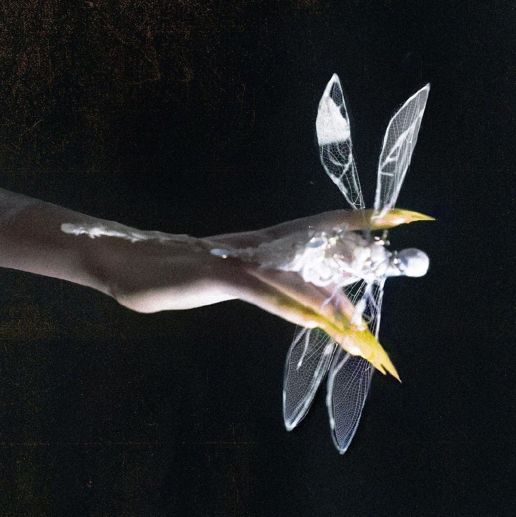 ͏
 ͏ ͏ ͏ ͏ ͏ ͏ ͏͏ ͏ ͏ ͏강력하고 매혹적인 존재로
 ͏ ͏ ͏ ͏ ͏ ͏ ͏͏ ͏ ͏ ͏간주되는 구미호는 아름다운
 ͏ ͏ ͏ ͏ ͏ ͏ ͏͏ ͏ ͏ ͏여성으로 변신하여 인간을
 ͏ ͏ ͏ ͏ ͏ ͏ ͏͏ ͏ ͏ ͏유혹하고 속이는 능력이
 ͏ ͏ ͏ ͏ ͏ ͏ ͏͏ ͏ ͏ ͏있다고 믿어집니다.
͏