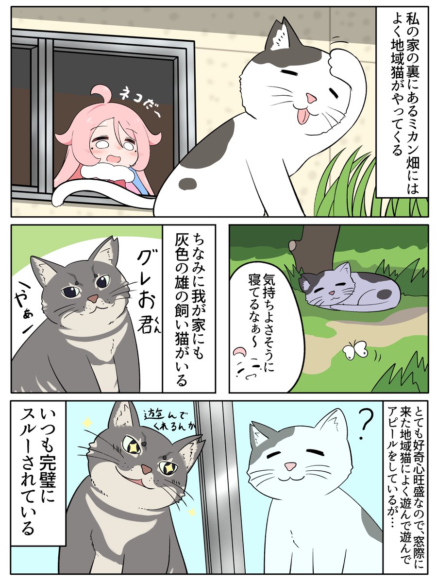 マス村さんの絵日記 『瀬戸内にゃんぽこ合戦』(1/2) ※続きは下にあります