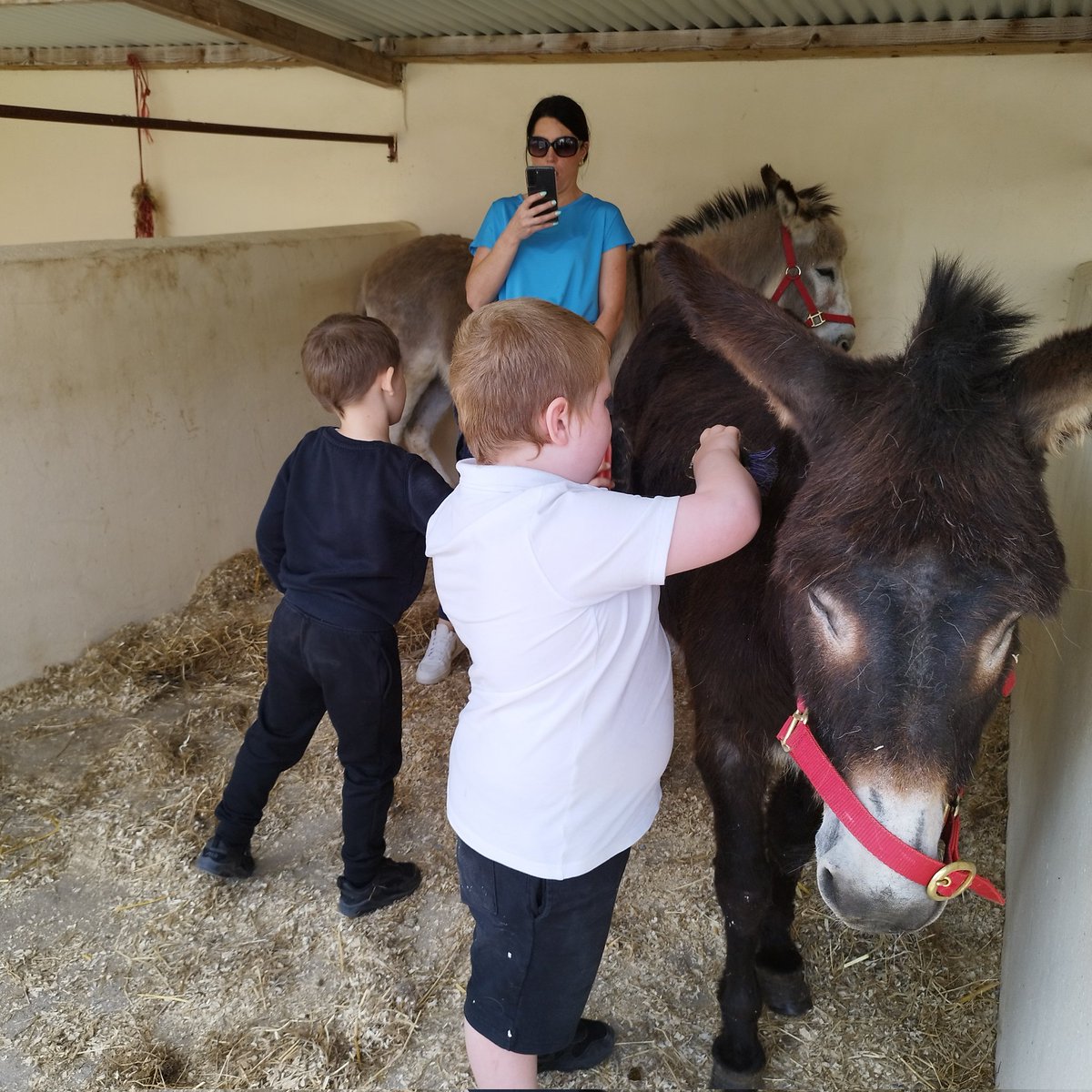 GBhreifne's tweet image. Bhí turas scoile iontach ag Naíonáin bheaga, sonas agus Tír na nÓg inné
. Gabhaimid buíochas chuig Killinkere pet farm.. Thaitin an lá go mór linn.
#petfarm #turasscoile