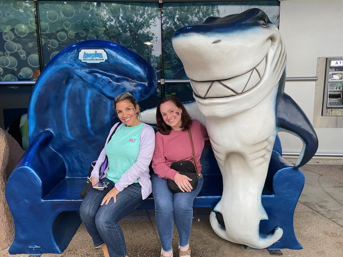When mathematicians become ocean explorers 🦈
