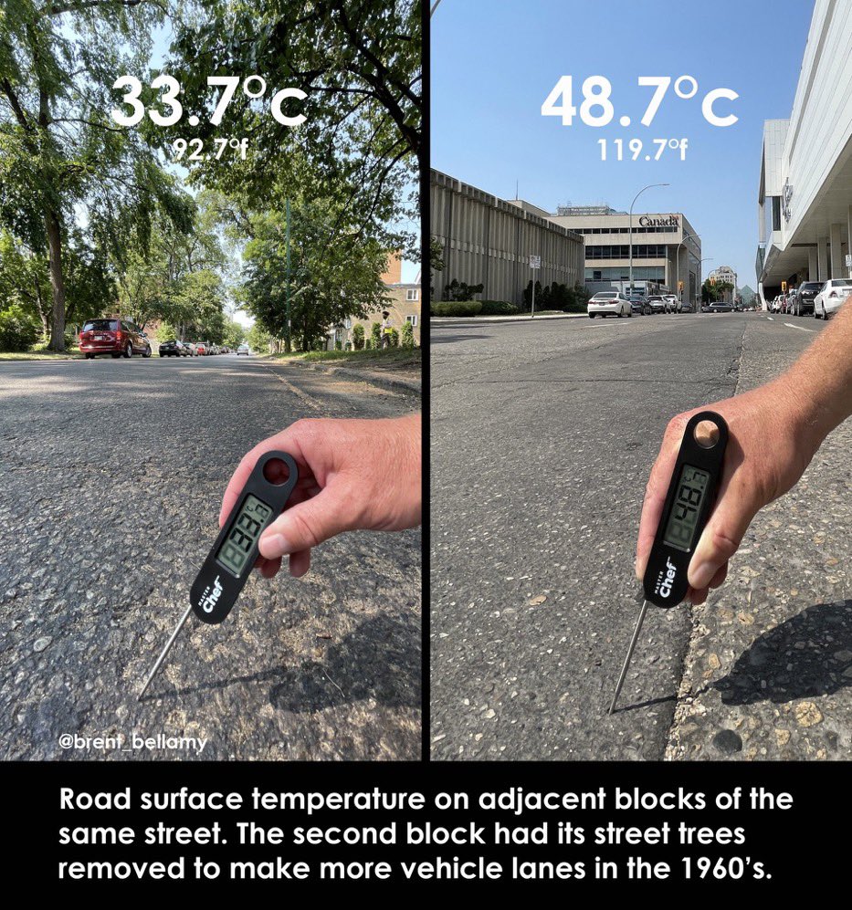 Soaring temperatures are a reminder that a city’s tree canopy will be critical to mitigating the increasing impacts of climate change

Surface temperature on adjacent blocks of the same Winnipeg street. The second block had its street trees removed in the 1960’s to add car lanes