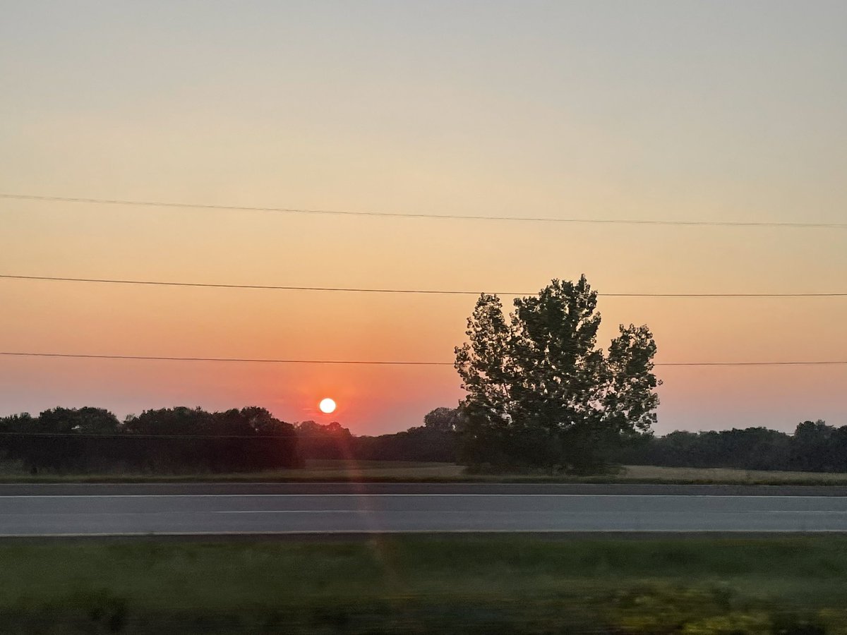 Michelle Walker tweet media