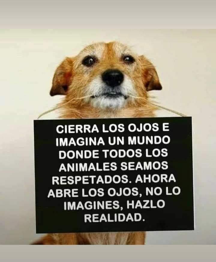 Guadalupe Ramirez tweet media