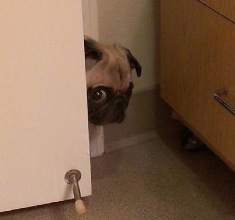 ᅠ
ᅠ
ᅠ
ᅠ
ᅠ
ᅠ
ᅠ
ᅠ
ᅠ