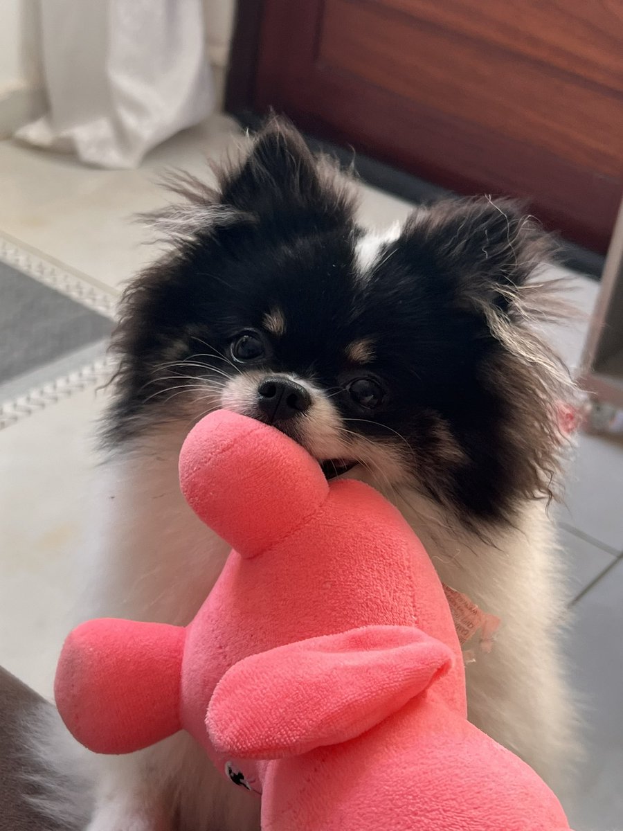 jaedsonfalc's tweet photo. Te amo meu bebê ☺️☺️ https://t.co/SbePKInQbm