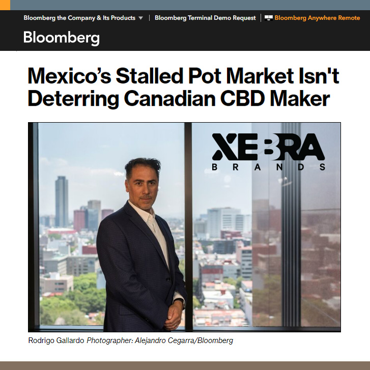 XebraBrands's tweet photo. Bloomberg:
Mexico’s Stalled Pot Market Isn't Deterring Xebra Brands.

IN THE NEWS: https://t.co/NzjoVpMKPu
NOTICIAS: https://t.co/mIHMrSY9WK

#Xebra $XBRA $XBRAF https://t.co/Uf4xVJaRjD