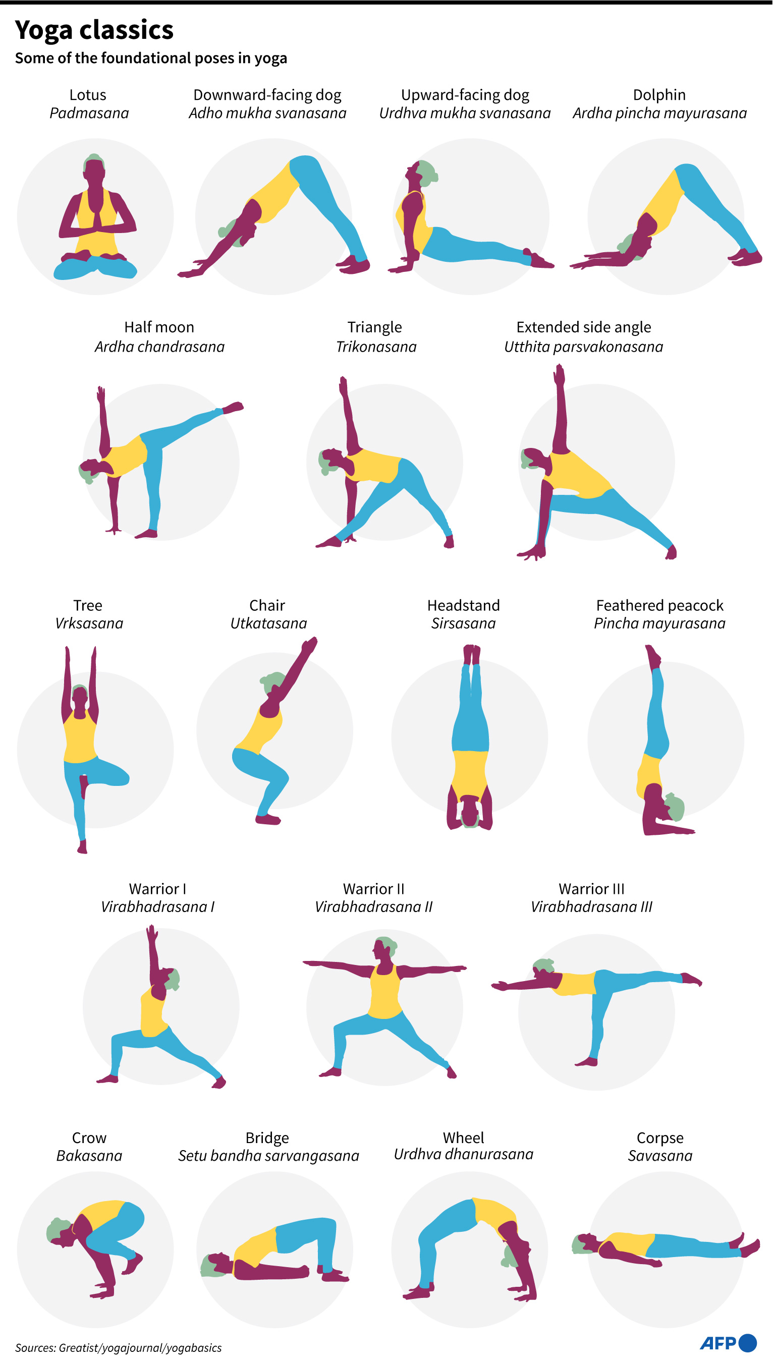 AFP News Agency on X: Yoga classics. #AFPGraphics presents some