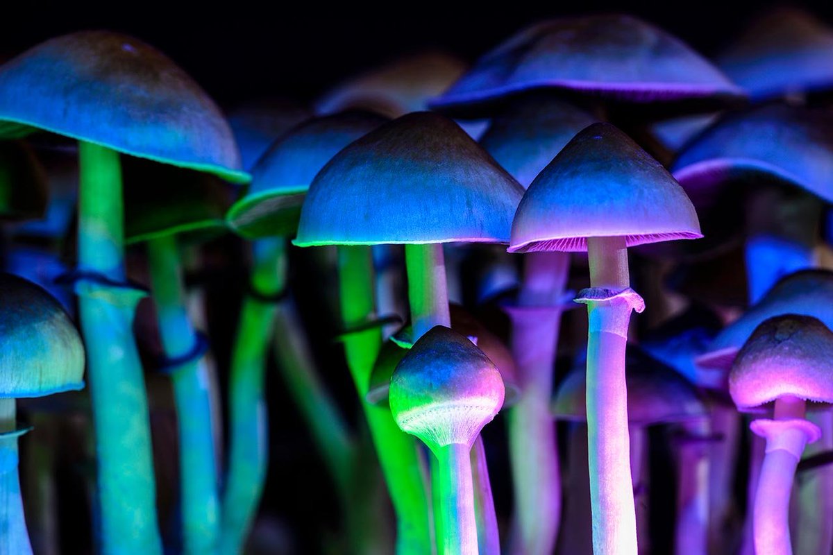 @techreview I prefer shrooms.