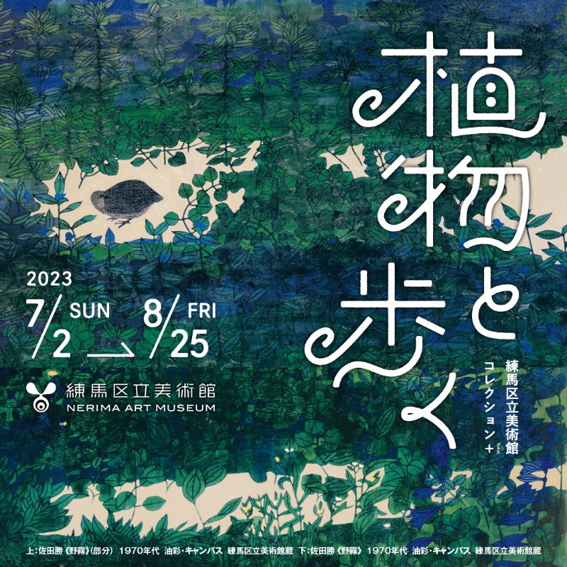 nerima_museum's tweet photo. ＼🍀好評開催中🌻／
🌱植物が、どのように作家を触発してきたか、
洋画、日本画、彫刻、植物標本など、
様々なジャンルの作品を通して探る展覧会が、
練馬区立美術館で開催中🌲

実在の植物から想像上の植物まで、
美術館に集まった魅力あふれる植物たちとともに歩いてみませんか🌿