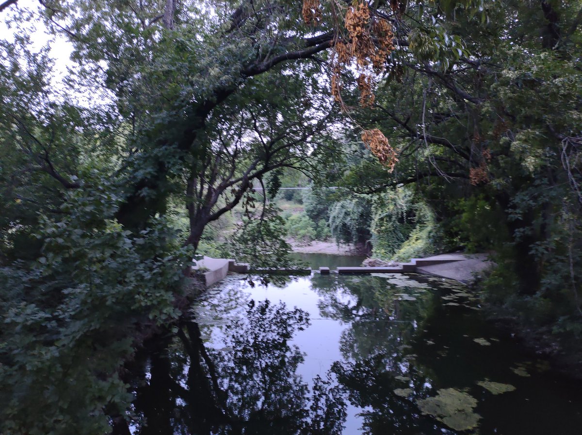 SamObiWon's tweet image. Scenes from a walk - Texas heatwave edition.♨️
4.2
#VitruvianPark
#BrookhavenCollegeTr
#AddisonTX