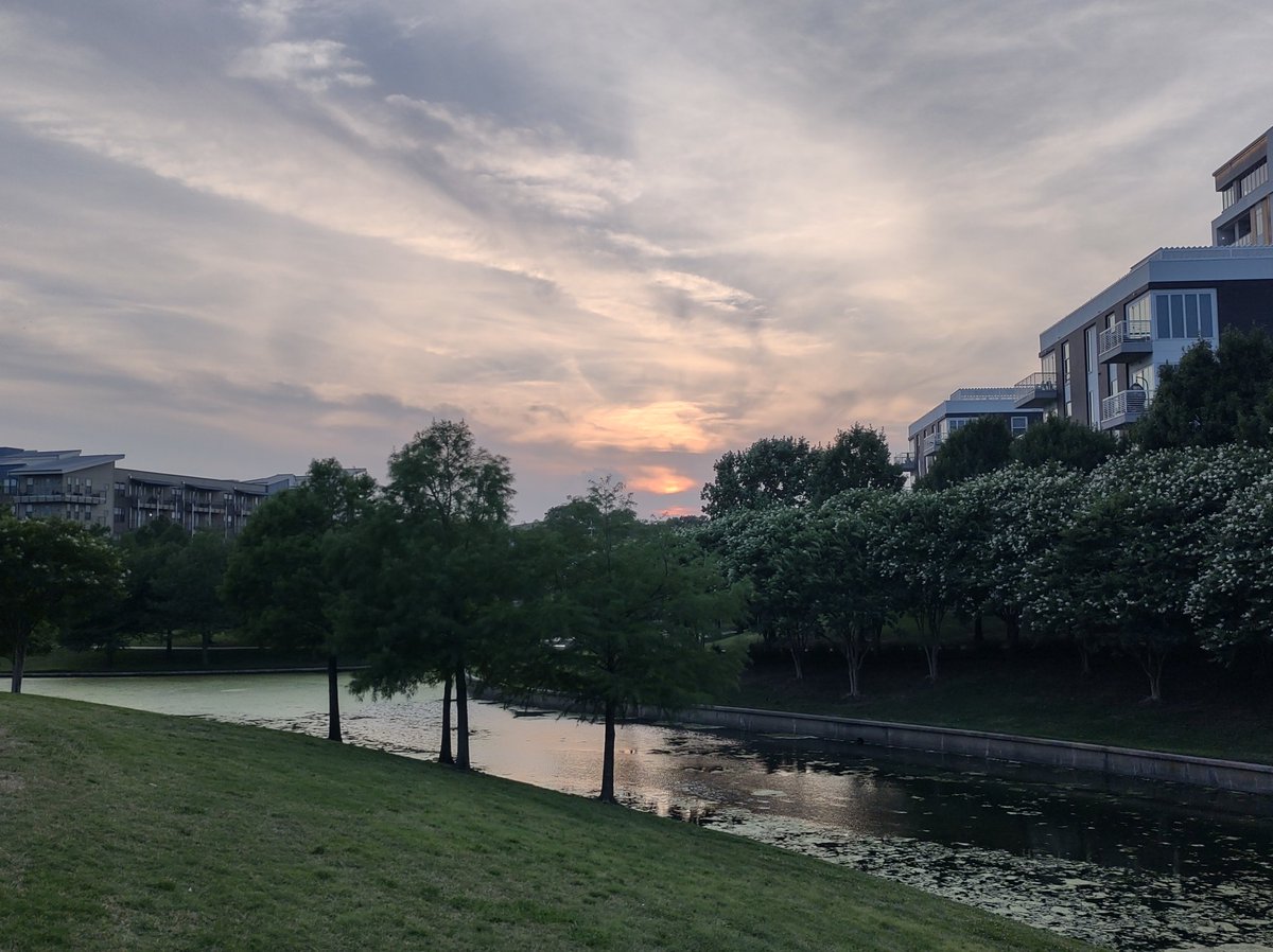 SamObiWon's tweet image. Scenes from a walk - Texas heatwave edition.♨️
4.2
#VitruvianPark
#BrookhavenCollegeTr
#AddisonTX