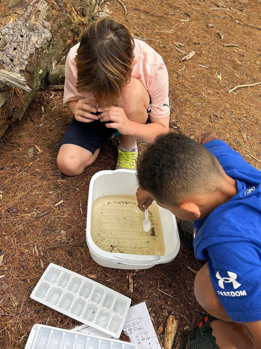 melissalynnwhe1's tweet photo. The final day for data collection at the #CochecoRiver. Our 4th and 5th grade water tents will look amazing! @maplemagnet @RochNHSchool #learninganddevelopment #wekeepongoing #ProudOfYou @ginnystargazer https://t.co/AWggzgC5Kq