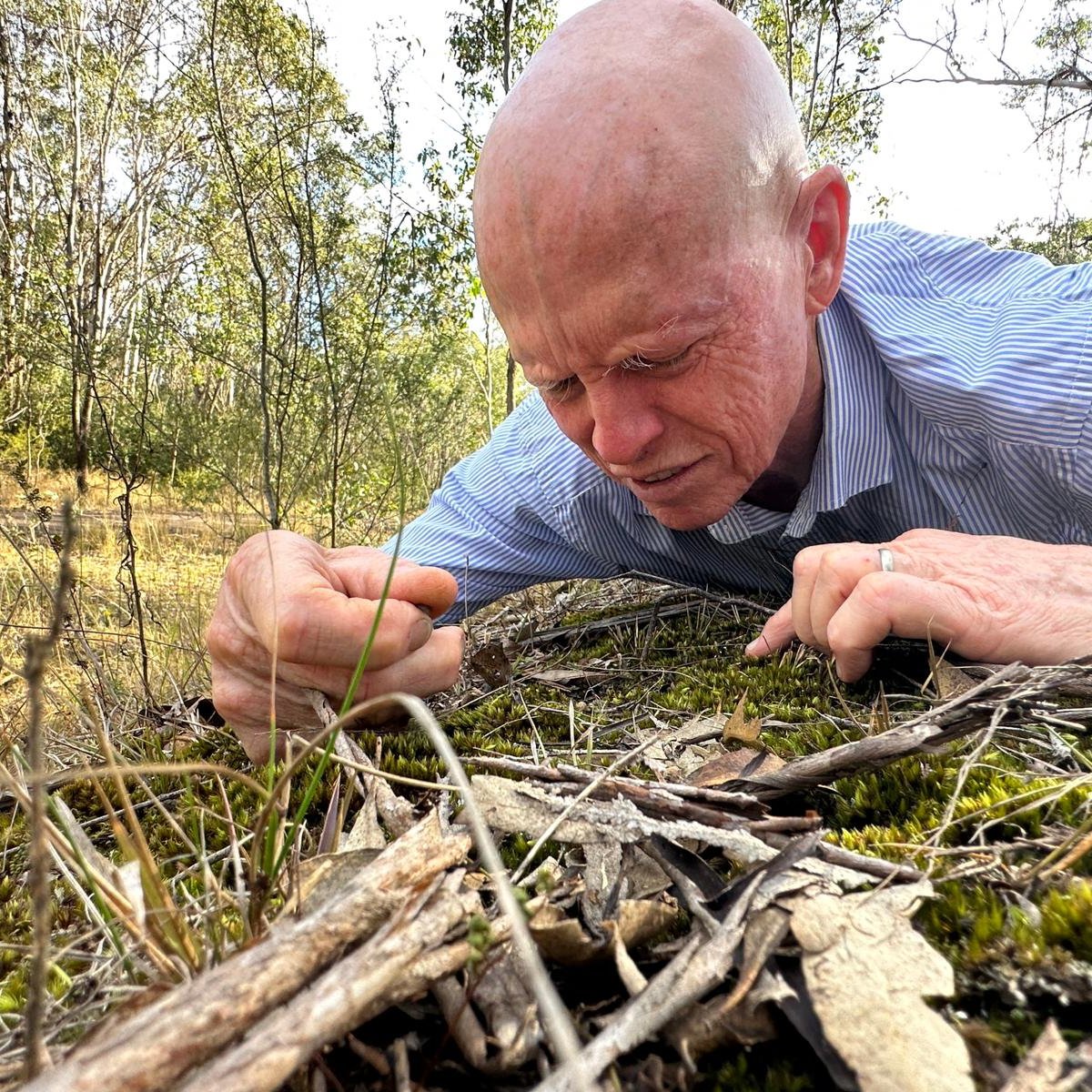 You asked for it; messing about with #mosses on Self Improvement Wednesday with @rgloveroz just after 5 pm today on @abcsydney. Hear why Earth can’t do without #moss @UNSWScience @UNSWCentreIdeas