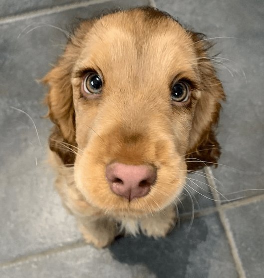 Her eyes look like a Disney character's eyes