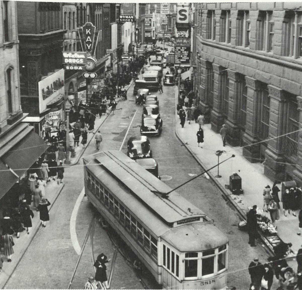 CatGirl Kulak 😻😿 (Anarchonomicon) tweet media