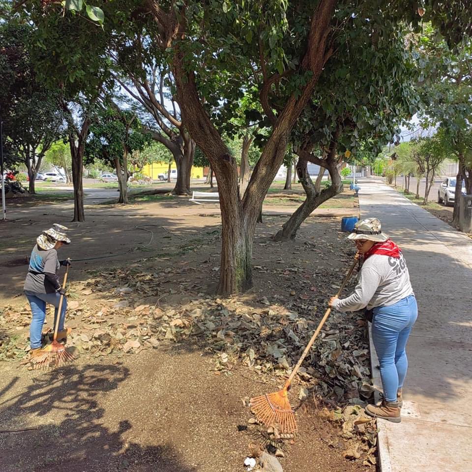 ColimaMunicipio's tweet photo. ¡Por un #ColimaLimpio pusimos #ManosALaObra en el jardín de #SantaBárbara!
Así trabajamos todos los días con #TusImpuestosTrabajando por un Colima ordenado. https://t.co/QBLzcWWgYl