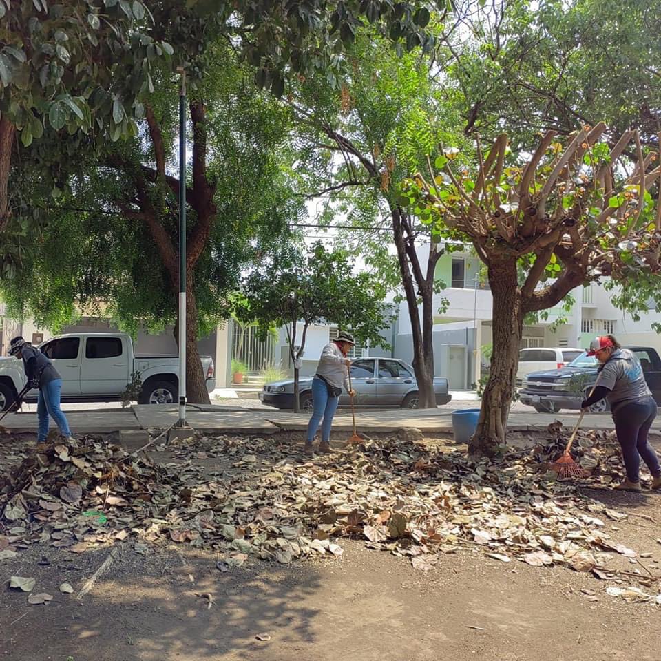 ColimaMunicipio's tweet photo. ¡Por un #ColimaLimpio pusimos #ManosALaObra en el jardín de #SantaBárbara!
Así trabajamos todos los días con #TusImpuestosTrabajando por un Colima ordenado. https://t.co/QBLzcWWgYl