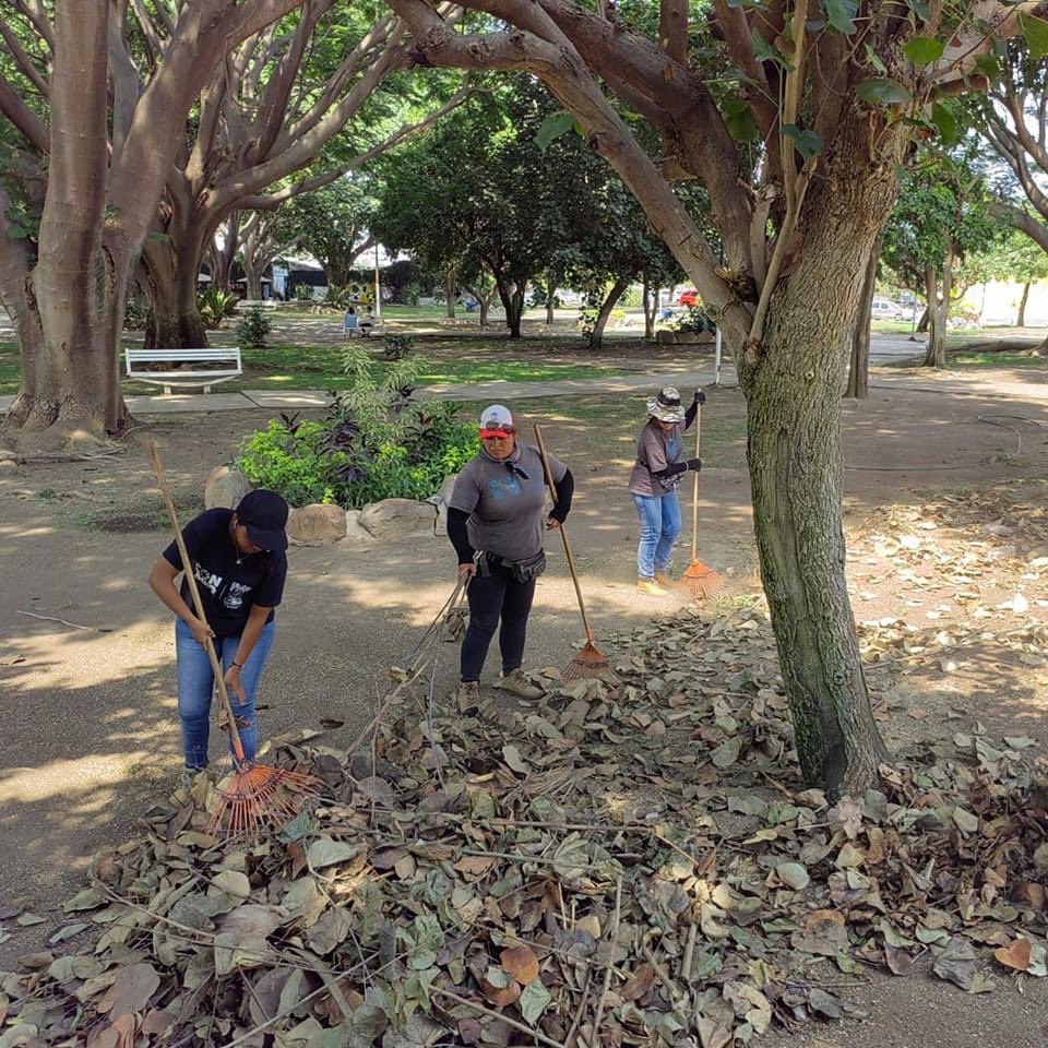 ColimaMunicipio's tweet photo. ¡Por un #ColimaLimpio pusimos #ManosALaObra en el jardín de #SantaBárbara!
Así trabajamos todos los días con #TusImpuestosTrabajando por un Colima ordenado. https://t.co/QBLzcWWgYl
