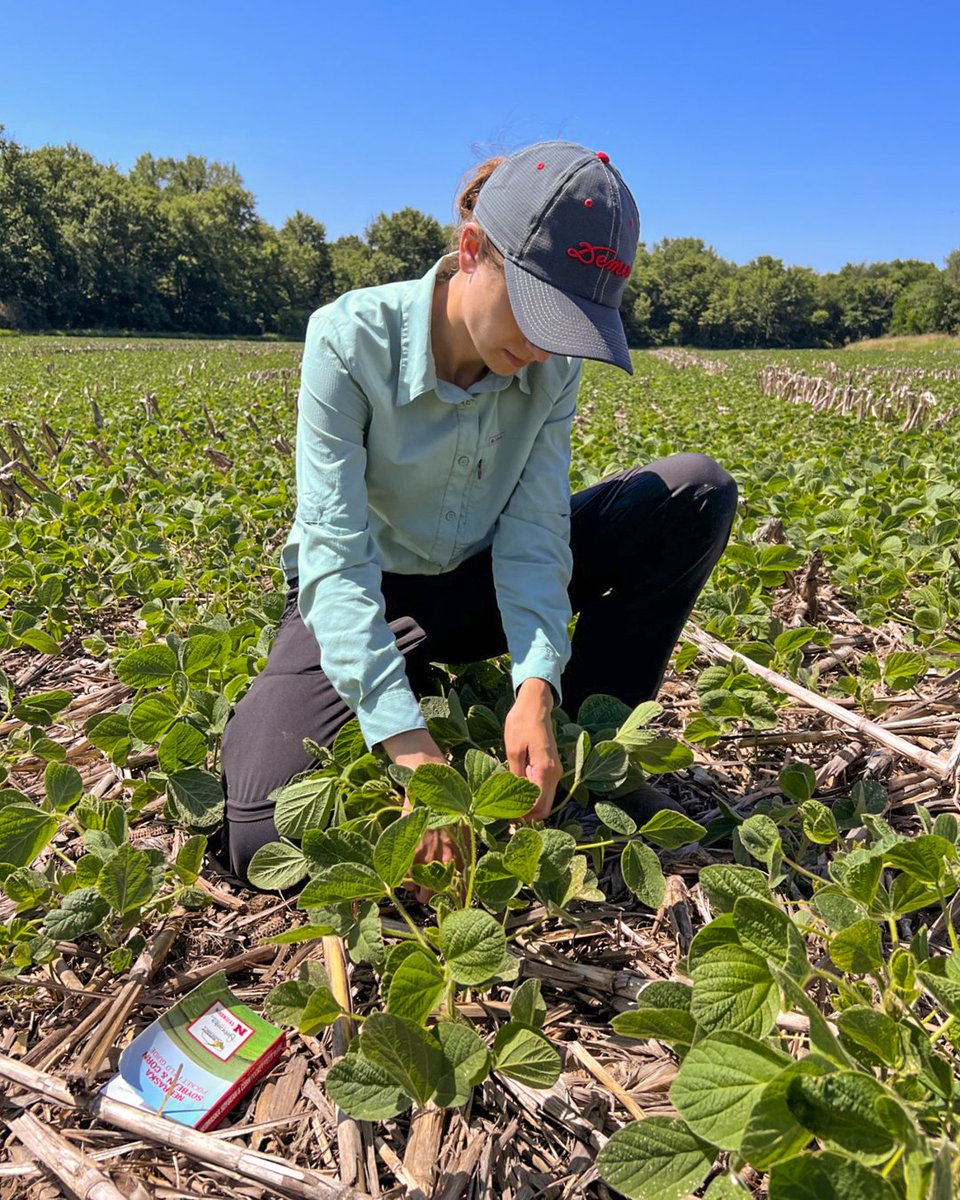 NE On-Farm Research tweet media