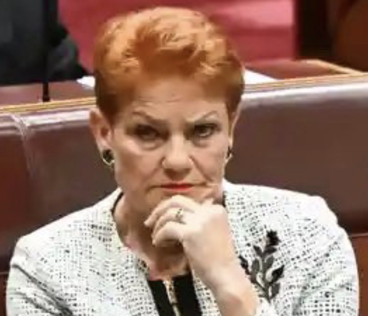 #LidiaThorpe #PaulineHanson 
LT. BL Wide arms ‘Here I am’ being martyred, ‘crucified.’ Chin raise arrogance, defiance. Takes up space to appear larger territorial. Incongruence-open arms & closed facial expression. Notice me. 
PH One arm cross angry, defensive, chin evaluating.