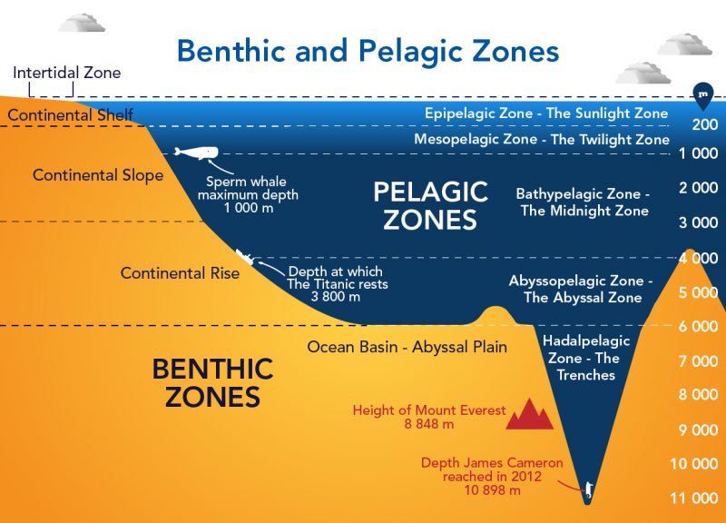 mandasuekae08's tweet image. Can we just take a moment to truly grasp how deep we THINK the #ocean is in some places? We actually do not know the #deepest depths bc most of the ocean remains #unexplored. 

#titan #titanic #atlantic #pacific #sub #titanicsubmarine #titanicsub #trench #Submersible #oceangate