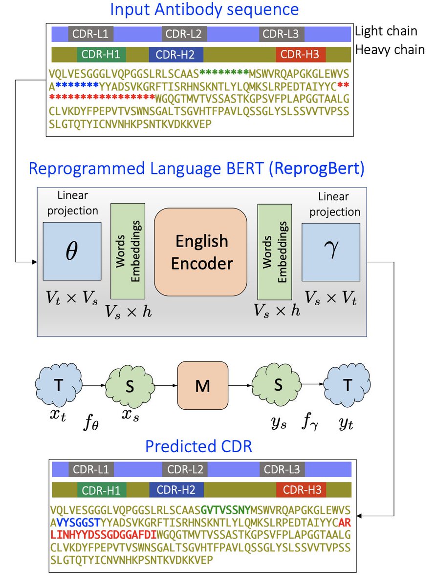 DdelAlamo's tweet photo. "Reprogramming Pretrained Language Models for Antibody Sequence Infilling"

https://t.co/0UIVv6iPFY https://t.co/wrlxli4CGB