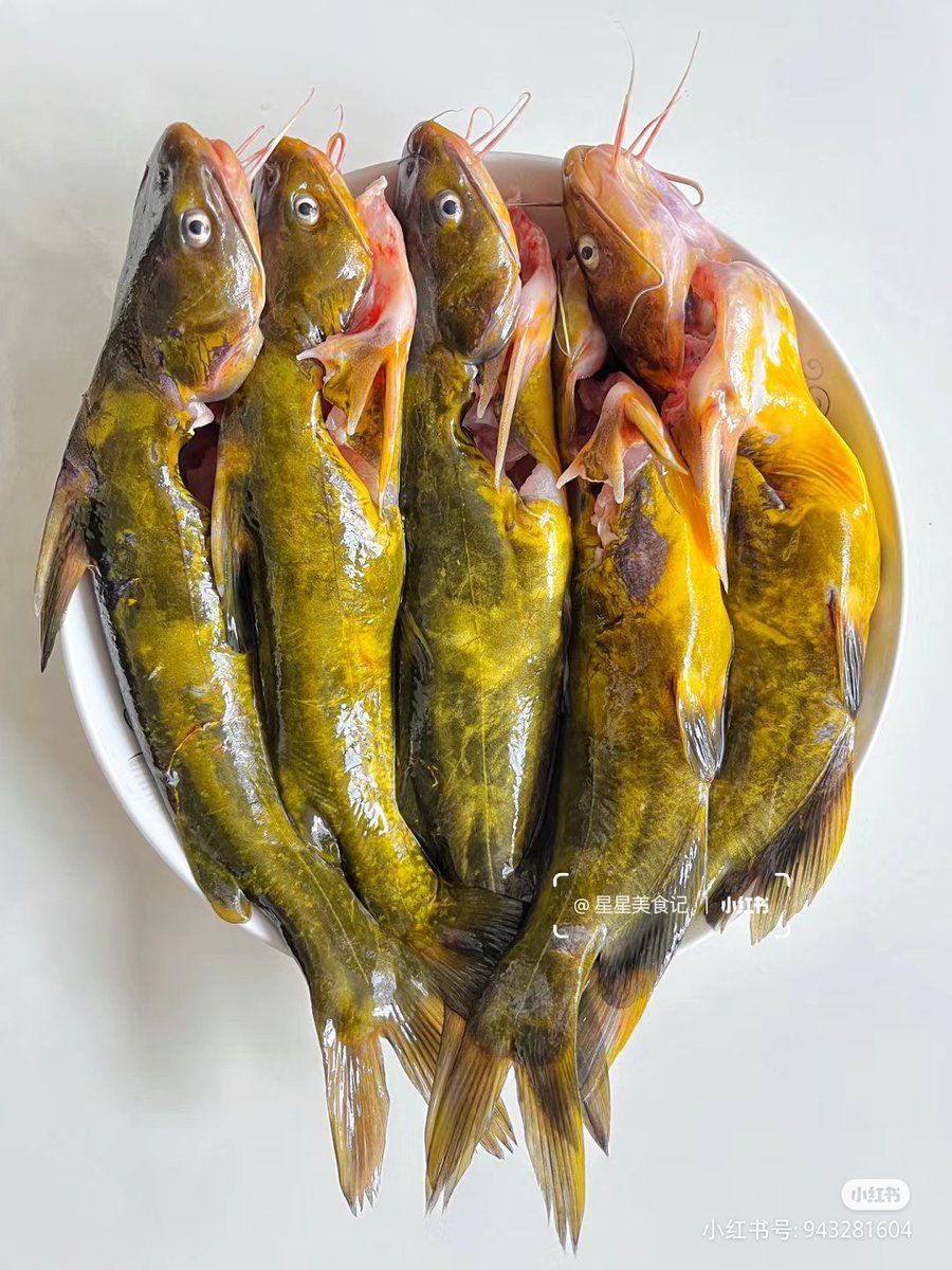 悲伤甜不辣kk(互fo) tweet media