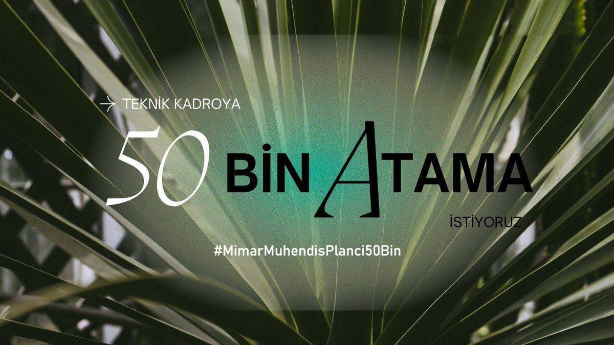 <a href="/mmsp50bin/">Mühendis-Mimar ve Şehir Plancı 50Bin Atama</a> <a href="/Mahi_Nur/">Mahi_Nur</a> <a href="/mehmetozhaseki/">Mehmet Özhaseki</a> <a href="/aBayraktar1/">Alparslan Bayraktar</a> <a href="/memetsimsek/">Mehmet Simsek</a> <a href="/mfatihkacir/">Mehmet Fatih KACIR</a> <a href="/AliYerlikaya/">Ali Yerlikaya</a> <a href="/MehmetNuriErsoy/">Mehmet Nuri Ersoy</a> <a href="/drfahrettinkoca/">Dr. Fahrettin Koca</a> <a href="/omerbolatTR/">Prof. Dr. Ömer Bolat</a> <a href="/_cevdetyilmaz/">Cevdet Yılmaz</a> <a href="/yilmaztunc/">Yılmaz TUNÇ</a> @vedatisikhan47 <a href="/OA_BAK/">Dr. Osman Aşkın Bak</a> <a href="/Yusuf__Tekin/">Yusuf Tekin</a> <a href="/yasargulertc/">Yaşar Güler</a> <a href="/ibrahimyumakli/">İbrahim Yumaklı</a> <a href="/a_uraloglu/">Abdulkadir URALOĞLU</a> Bakanlarımız,  müjde bekliyoruz. Bizim de yüzümüz artık gülsün.  #MuhendisMimarPlanci50Bin