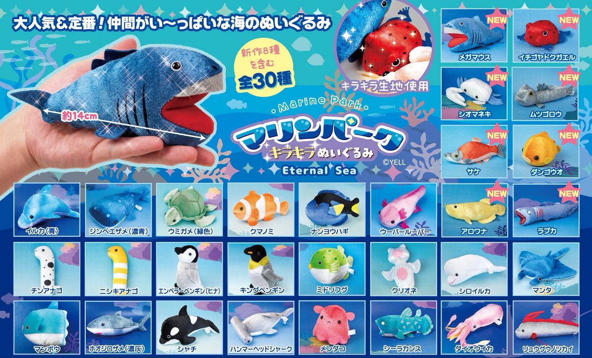 マリンパーク　きらきらぬいぐるみ70体　コンプリート　うみのいきもの 🌊6月新ぬいぐるみのご紹介🌊 『#マリンパーク キラキラぬいぐるみ