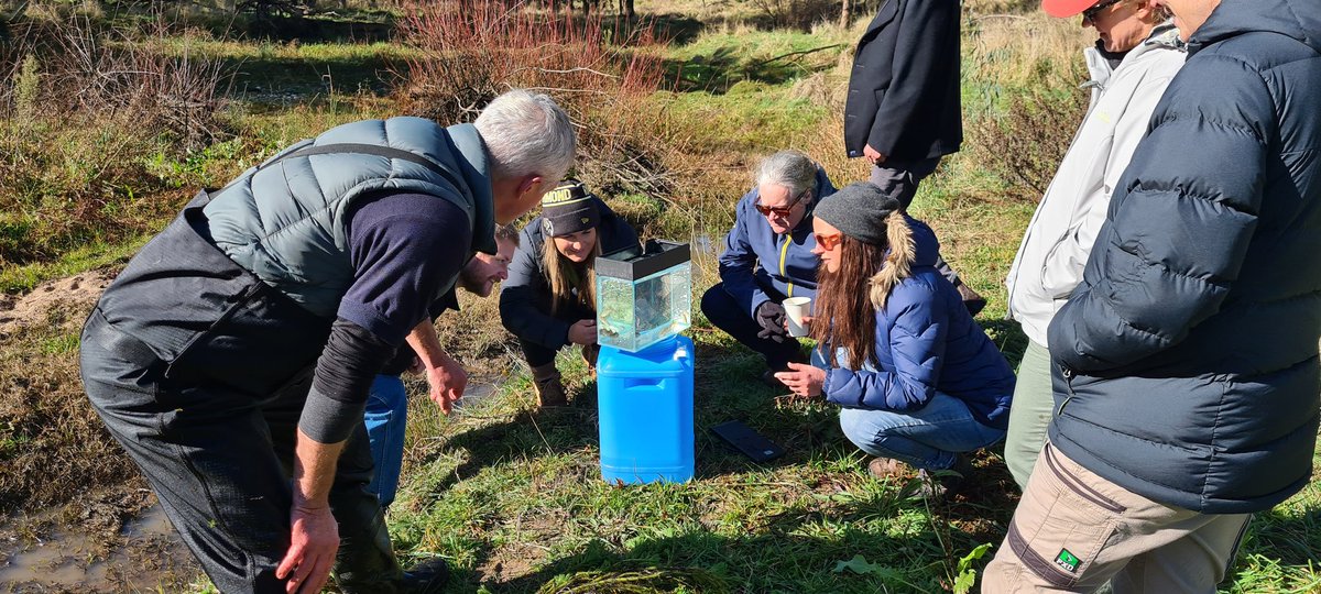 Holbrook Landcare tweet media