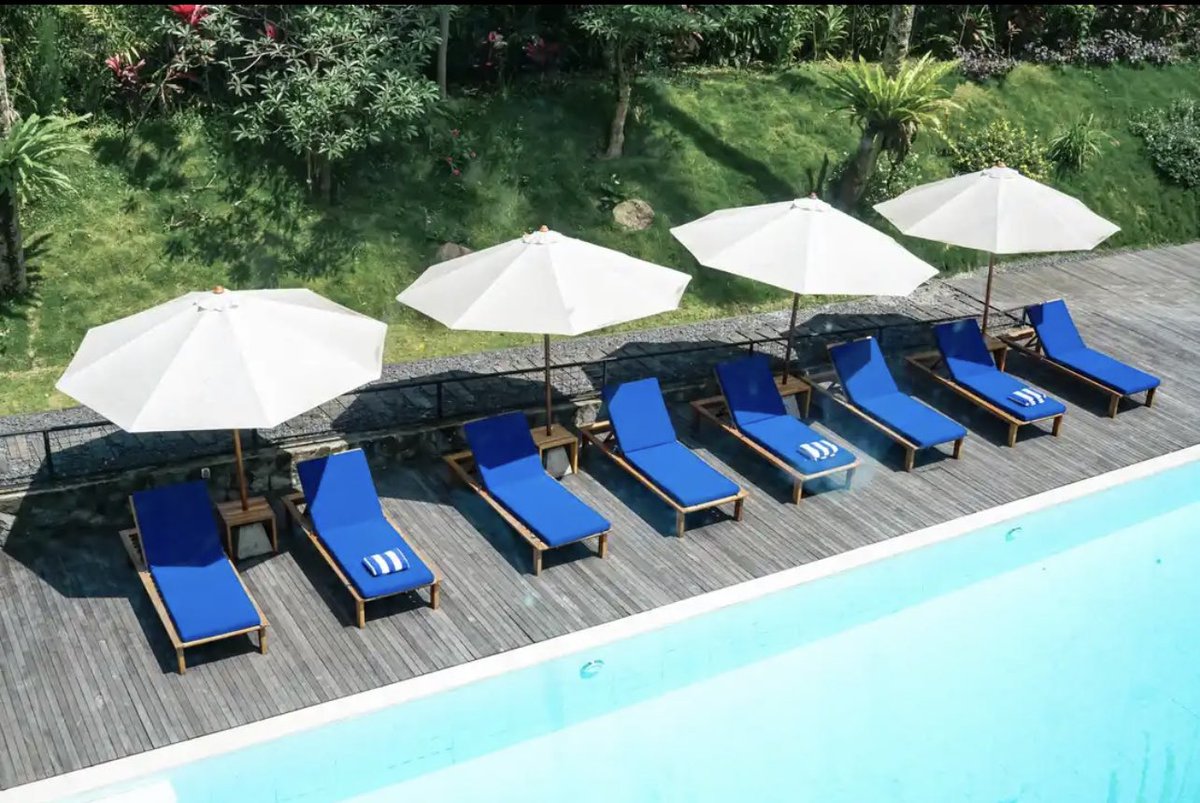 catatanhotel's tweet photo. asri banget, hotel ditengah hutan pinus cakep dan syahdu banget buat healing/honeymoon. hotel teradem di banyuwangi 🍃

📍Teras Hotel Ijen Banyuwangi
📌 cek aja nih bisa di booking lg promo https://t.co/WbGDnBxygQ https://t.co/AxwHewv8FE