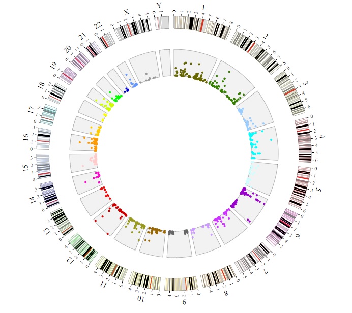 Circos-plot-with-BioCircos using html and JavaScript
github.com/Aria-Dolatabad…