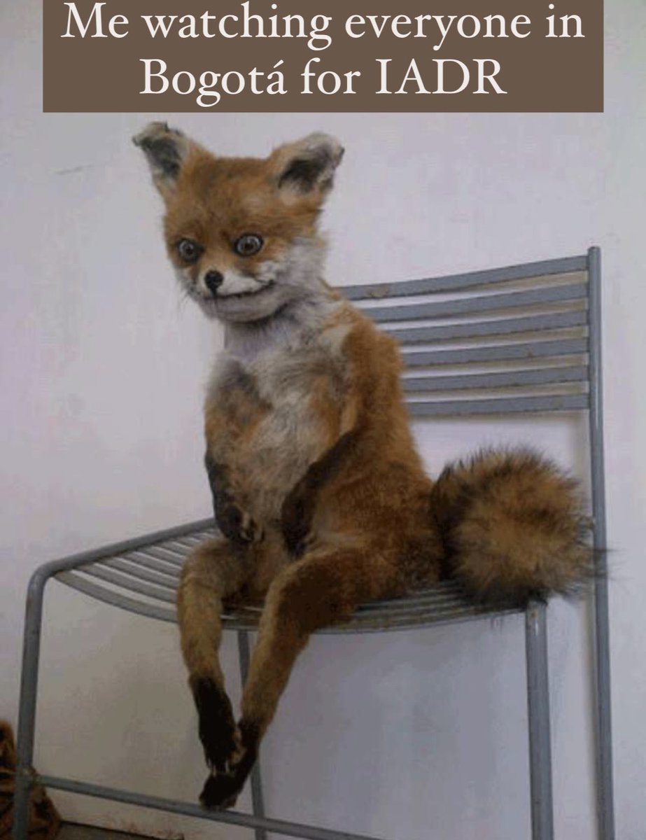 Tooka Zokaie, MPH, MAS tweet media