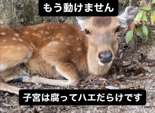 道徳的価値観の例