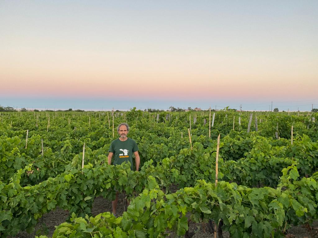 Don't miss our Cirò Revolution Supper Club with Sergio Arcuri WInes 28th June at 7pm  - mailchi.mp/4e942e972476/c…