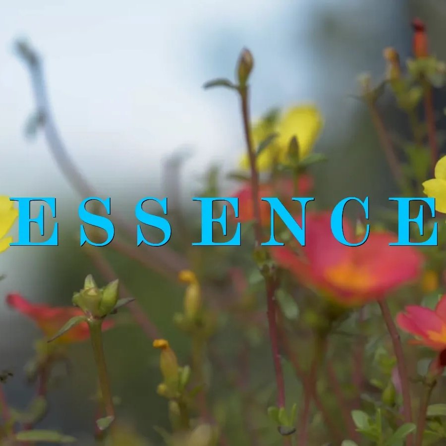 youtu.be/Vtl6enHh1QM

Lyrics Video for 'Essence' by E.L.M. is now available on YouTube

From the Magnum Opus LP

Stream it nowwwww

#Essence
#ELM
#MagnumOpus
#newmusic
#MamenProductions