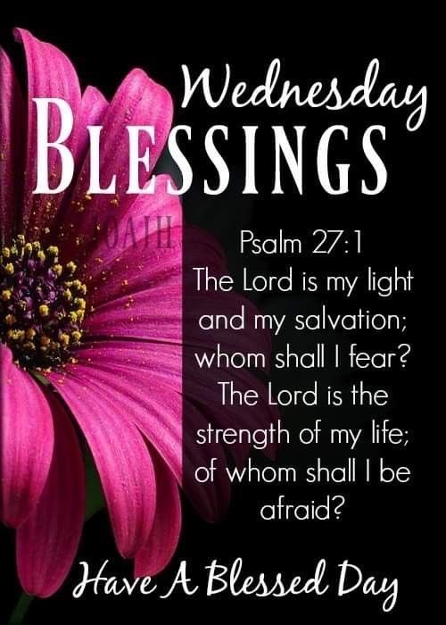 #WednesdayBlessings #TwitterFriends 

🧡Have An Amazing Wednesday!