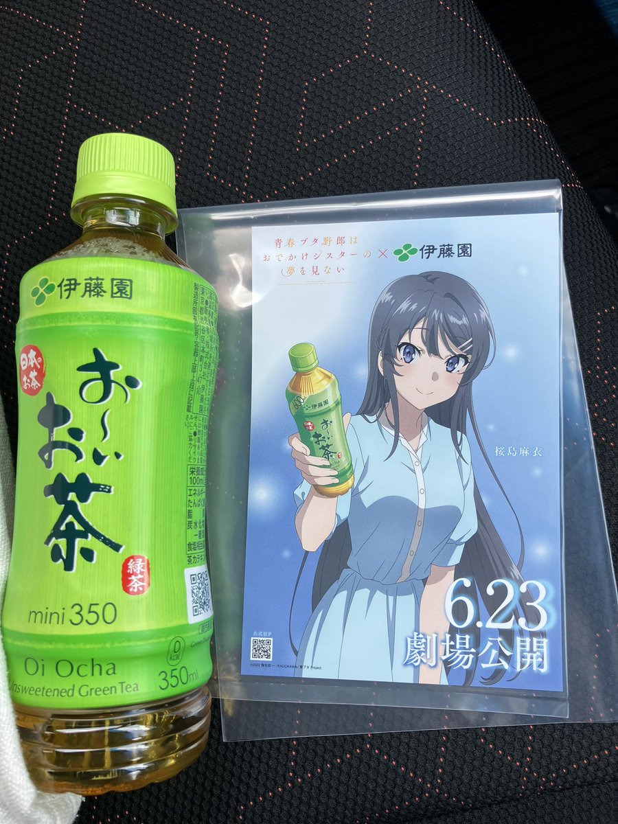 58%以上節約 青ブタ ポストカード おーいお茶 centralbarkdogdaycare