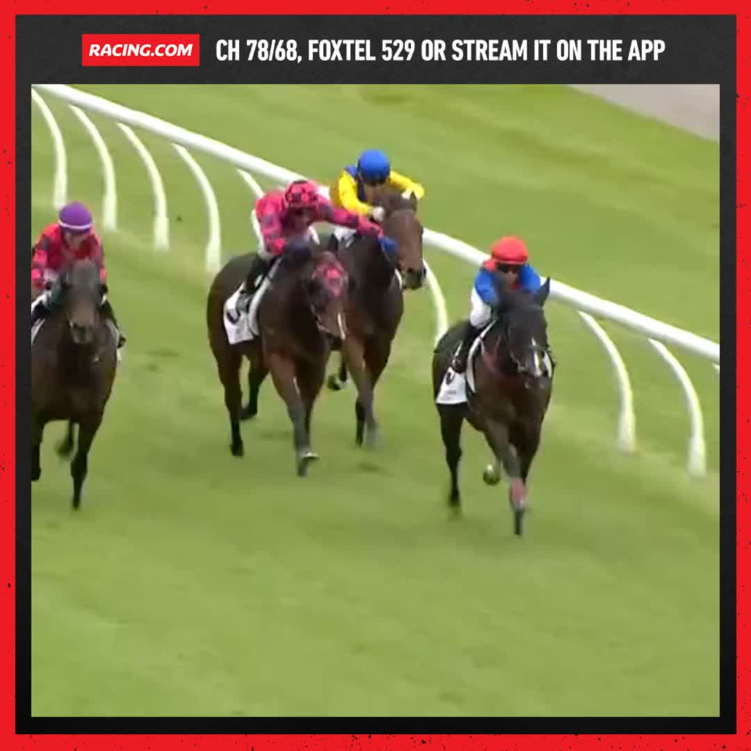 Racing.com on Twitter: