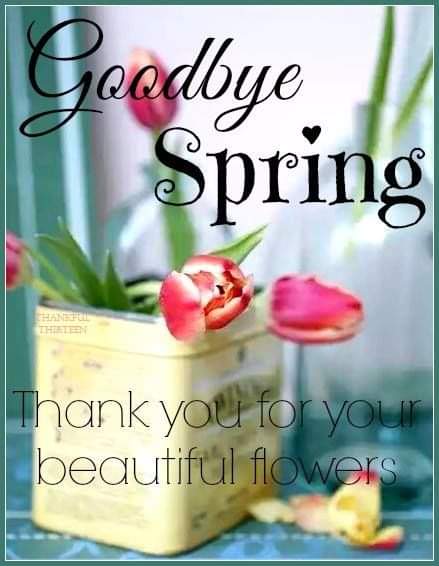 LuvDani_xoxo's tweet image. #GoodbyeSpring 🌷☔🐰👩‍👧‍👦👨‍👧‍👦❤️