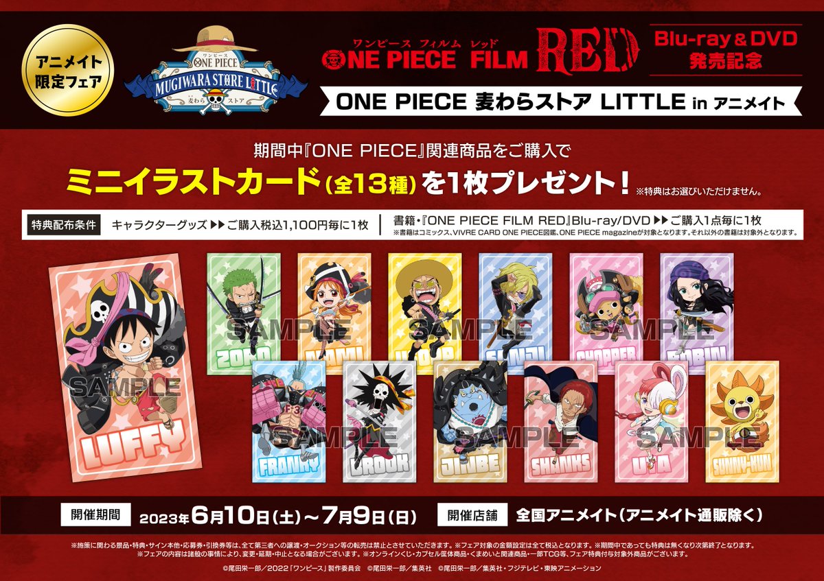 コーナー情報】 当店1Fにて『ワンピース』コーナーを展開中❗️ 多種