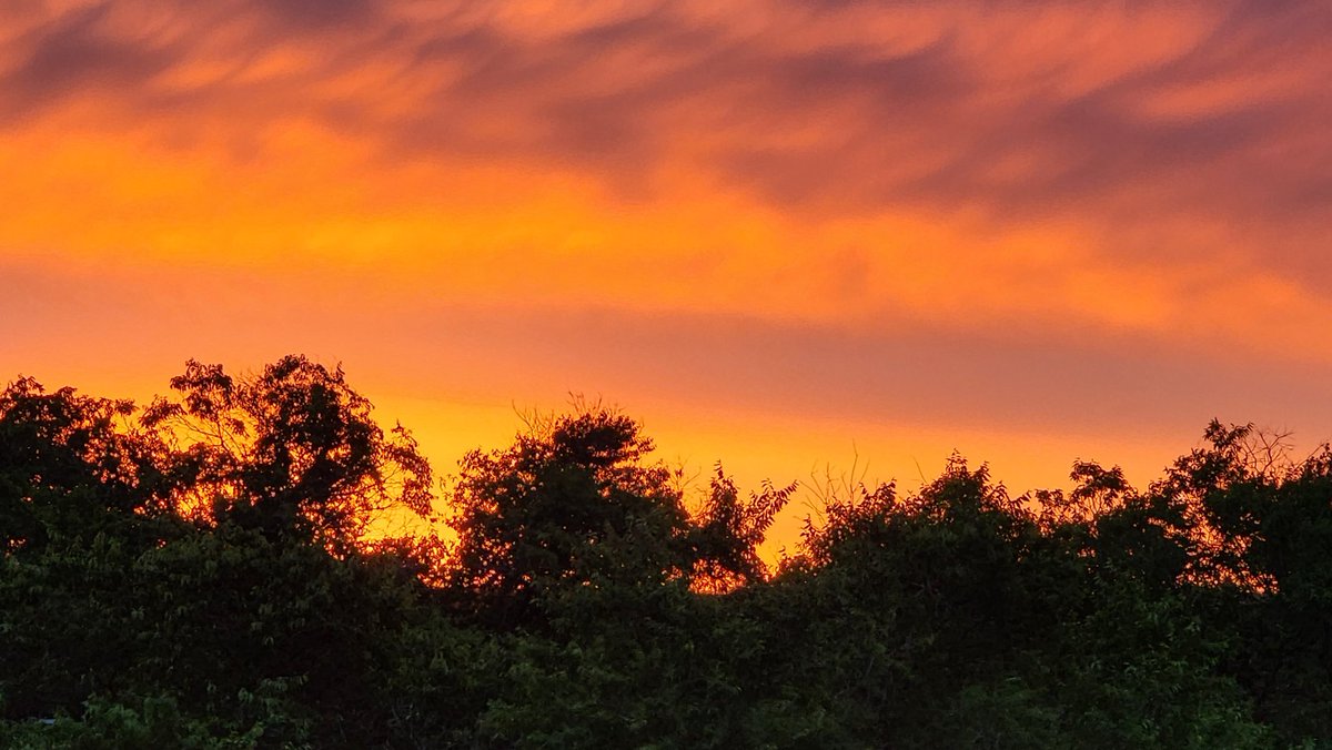 LADIDA83's tweet photo. #OneSolsticeOneSky
Even the trees are celebrating the solstice! https://t.co/N4nIvLZcBV