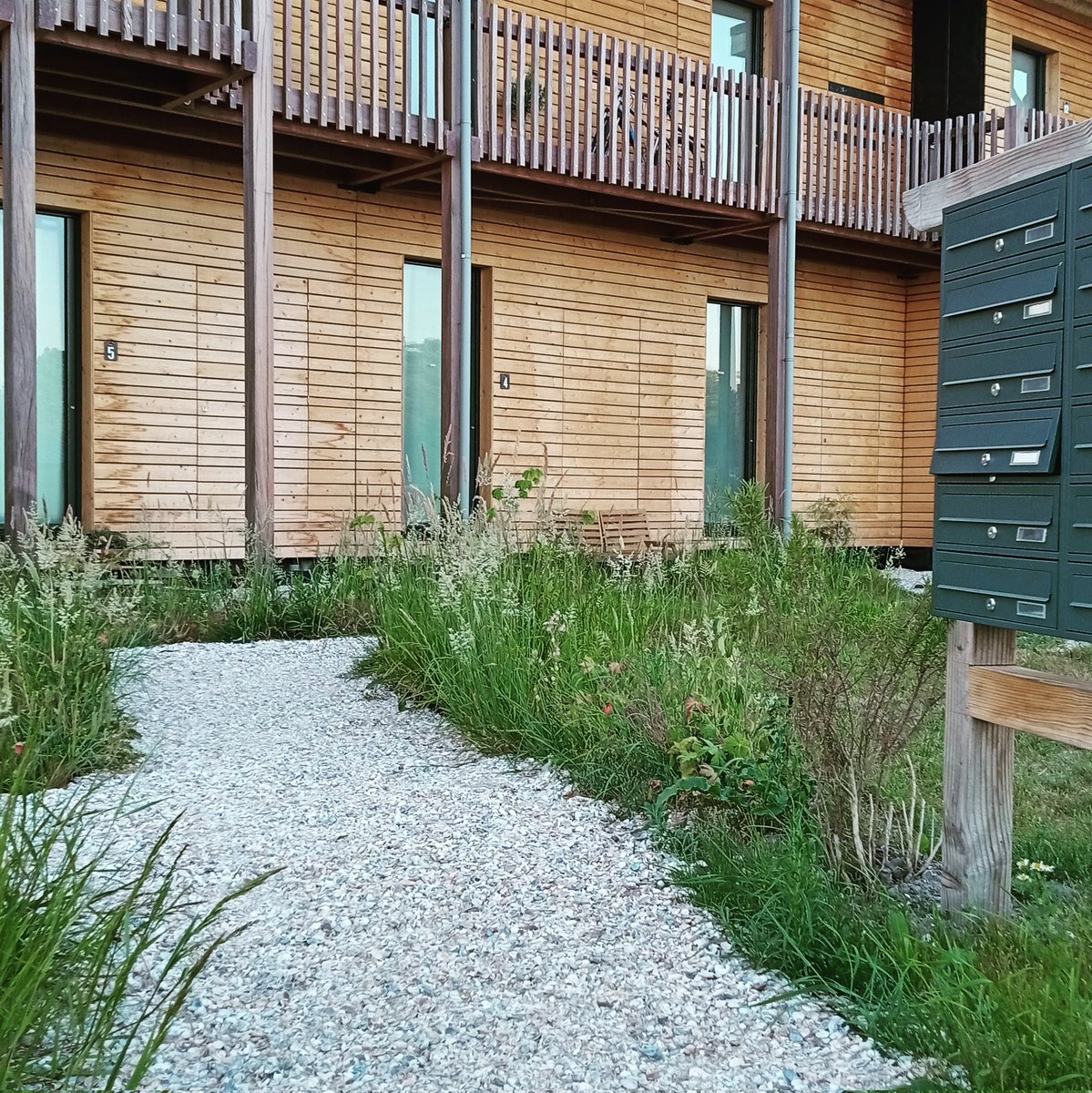 Betaalbare woningen voor jongeren en starters. Gebouwd met CLT en biobased materialen. Ja, het kan. #WOODYyourCITY #huisvesting