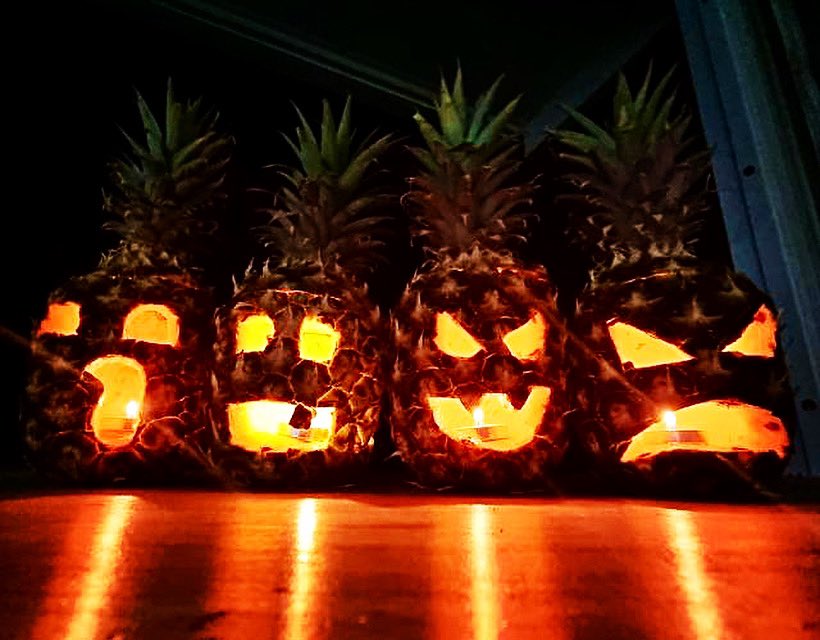 HAPPY HULA-WEEN!
🧡✨🍍🎃✨🌞✨🎃🍍✨🧡
#halloween #HalloweenIsCalling #halloweenforever #spookyfam #itsalifestyle #1031club #spookyseason #samhain #dreamofhalloween #creepy #halloweenvibes #halloweenlover #pineapple #jackolantern #summer #summerween #candlelight #vibe #piña