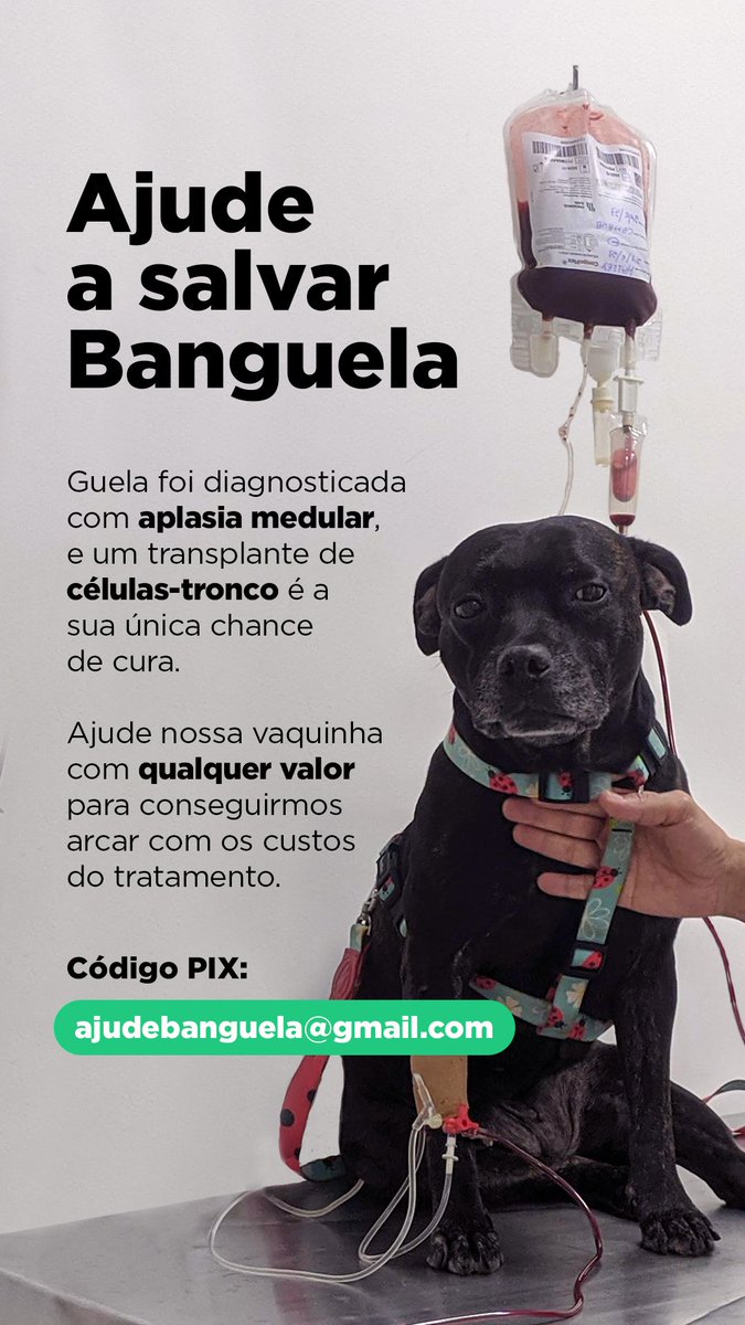 calangobrocador's tweet image. Tô sim, é @seucarva (aqui é outra pessoa, mas lá no insta sou eu). Tem um reels e uma arte que tô usando. Muito obrigado!