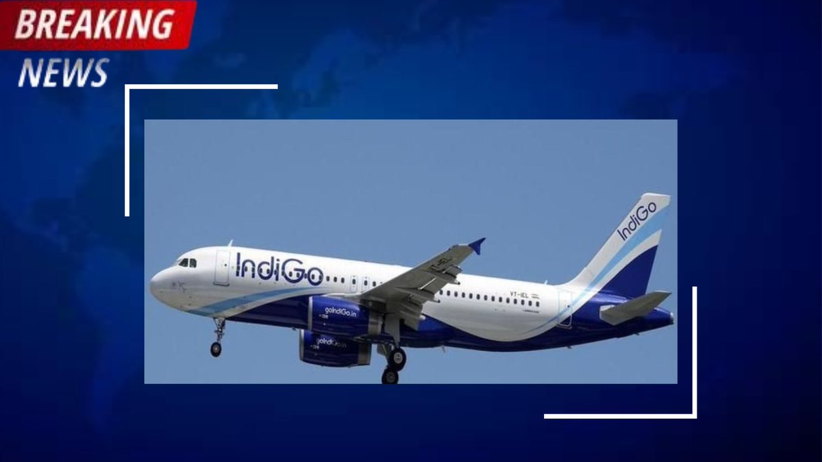 IndiGo buys 500 planes from Airbus, the largest order in aviation history
#Indigo #Indigoairlines