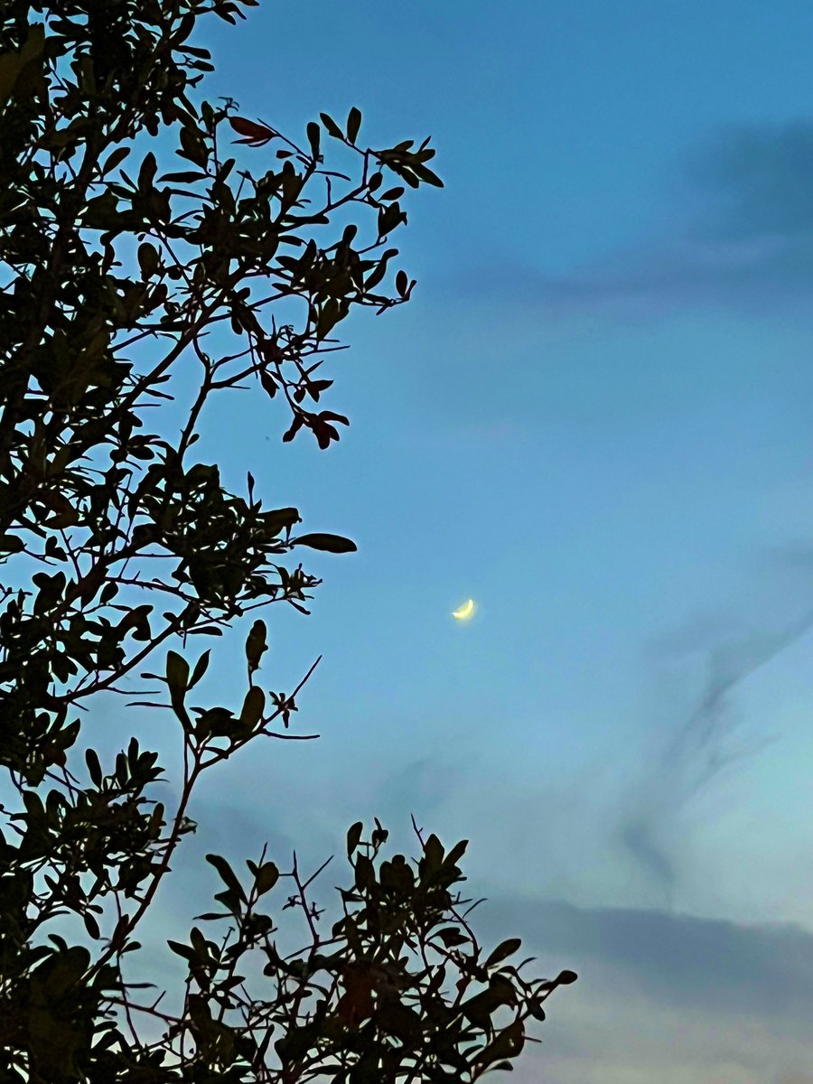 Happy4evrr's tweet photo. Nelavanka 🌙
#firstmoon https://t.co/hLXjue5fUr