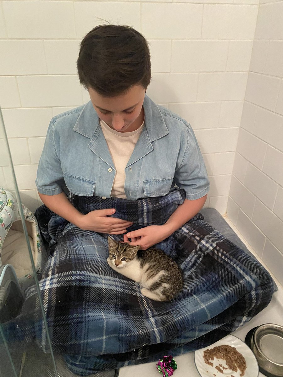 _mouse_house's tweet photo. I’ve been stalking my backyard for two sleepless nights and I finally got him today. Now idk what to do with myself tonight lol I’m just so stoked he/she is safe 🥺🥰😁 https://t.co/UNZpoqpBsH