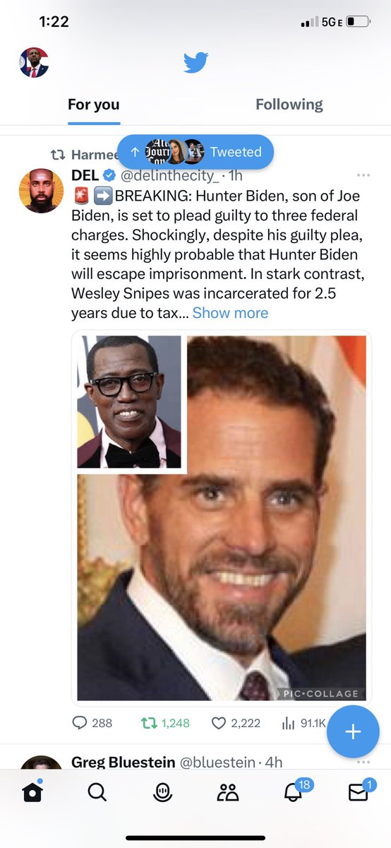 @wesleysnipes Liberal white democrats corrupted to the core like Hunter Biden gets collaboration and probation from the @TheJusticeDept & @FBI. But Blacks with the same charge or less get prison. #WhiteLiberalDemocratPrison @JudgeJoeBrownTV @JoeBiden